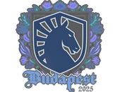 Sticker | Team Liquid | Budapest 2025 image