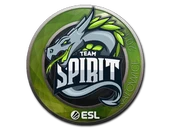Sticker | Team Spirit | Katowice 2019 image