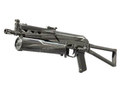 PP-Bizon | Bizoom image