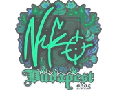 Sticker | NiKo | Budapest 2025 image