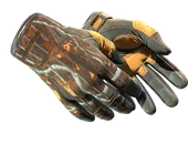 ★ Sport Gloves | Big Game image