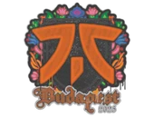 Sealed Graffiti | fnatic | Budapest 2025 image