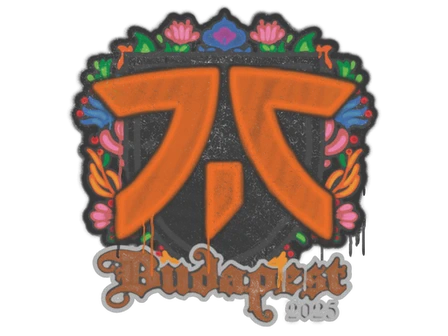 Sealed Graffiti | fnatic | Budapest 2025 image