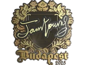 Sticker | JamYoung (Gold) | Budapest 2025 image