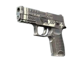 P250 | Re.built image
