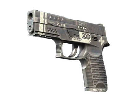 P250 | Re.built image