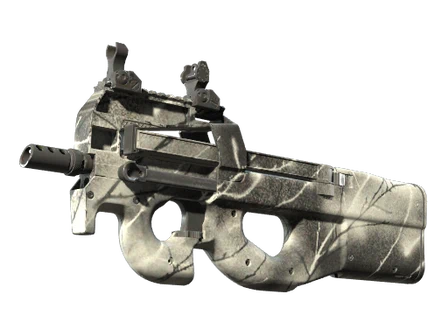 P90 | Ash Wood image