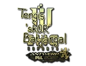 Sticker | sk0R (Gold) | Antwerp 2022 image